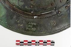 Foto von Bronzebreitrandfußschale (NHMW-PRAE-025740)
